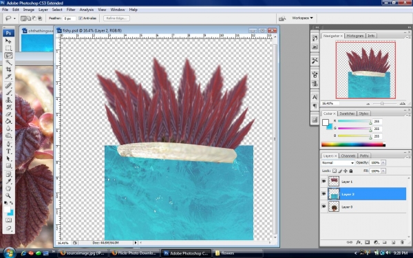 Creation of Pretty Fishy: Step 6
